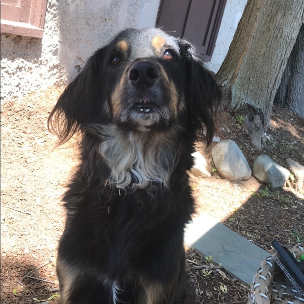 Meet your Posher, Katherine